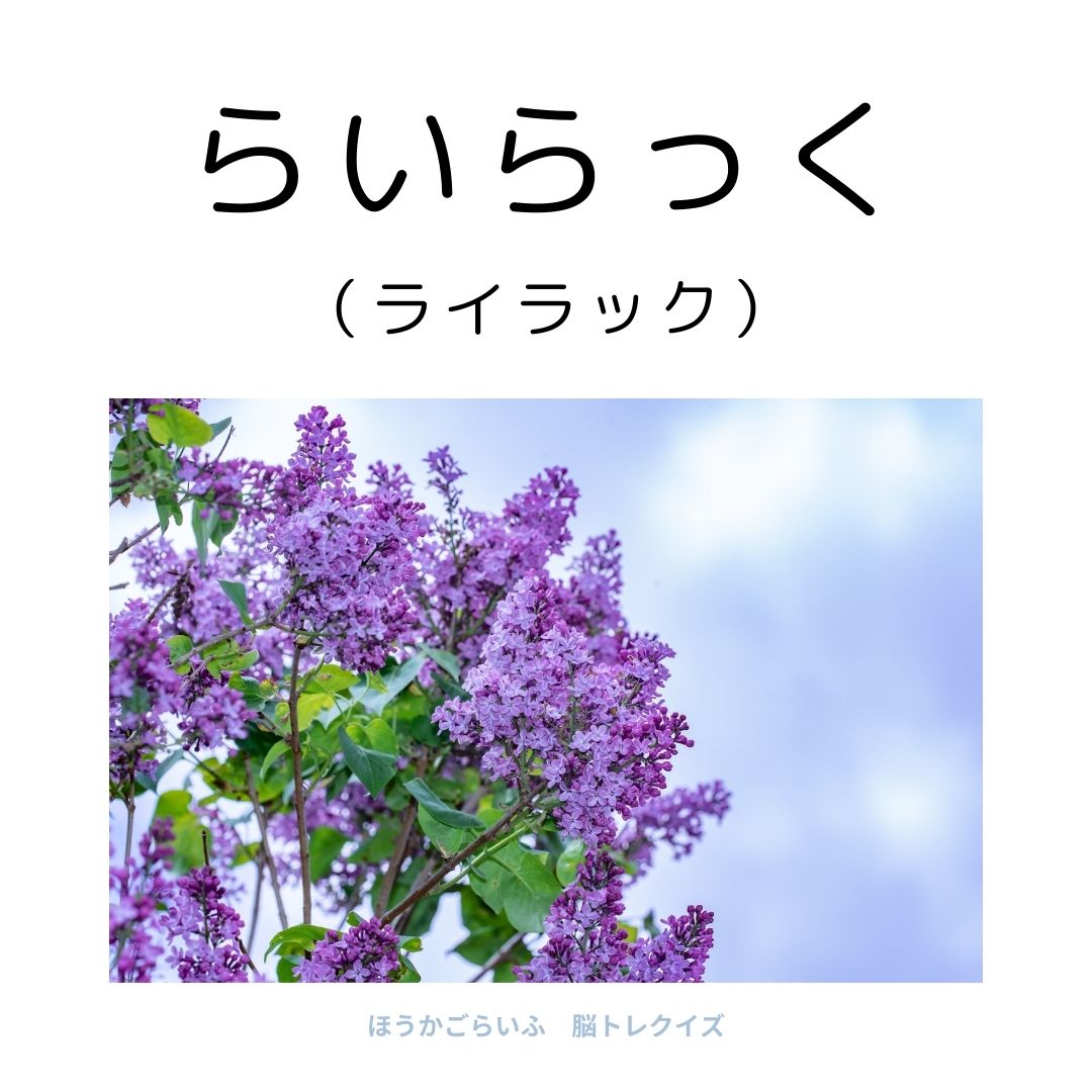 高齢者向け（無料）言葉の並び替えで脳トレしよう！文字（ひらがな）を並び替える簡単なゲーム【花の名前】健康寿命を延ばす鍵